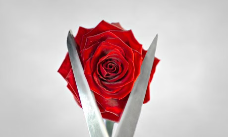 “Now I Understand Why”