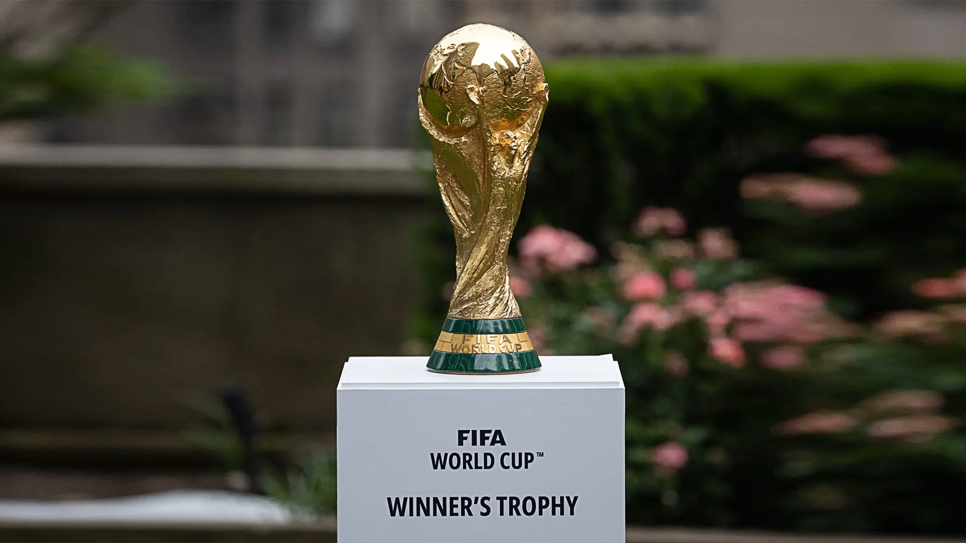 Africa at the 2026 World Cup: A vivid impact on the world stage